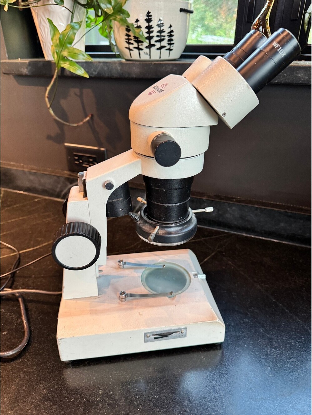 Vintage ACCU-SCOPE Stereo Dissecting Microscope (10x & 30x)